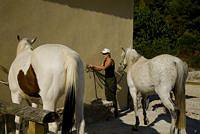 St Chamas horse hotel and troglodyte house. Saint Chamas France olivier binst family
///
Saint Chamas domaine et maison troglodyte, Bouches du Rhone etang de Berre. Bouches du Rhone France Patrick et Sally
///
CHAMAS001